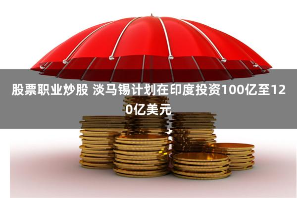 股票职业炒股 淡马锡计划在印度投资100亿至120亿美元