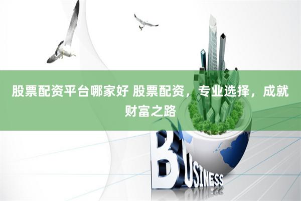 股票配资平台哪家好 股票配资，专业选择，成就财富之路